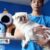 Pet Mart Khánh Hội - Phụ kiện, Spa cho thú kiểng Pet Mart Khánh Hội - Phụ kiện, Spa cho thú kiểng