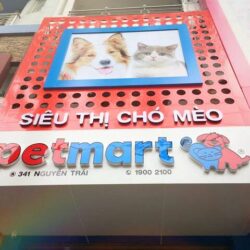 Pet Mart Nguyễn Trãi HCM – Dịch vụ Spa, trông giữ chó mèo