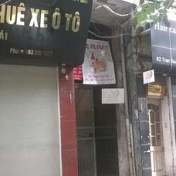 Pet Shop Luna - Mua bán chuột Hamster giá rẻ Hà Nội