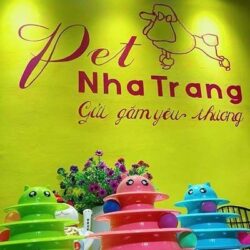 Pet Shop Nha Trang - Chăm sóc, spa và khách sạn thú cưng