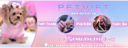 Petviet Shop - Dịch vụ chăm sóc thú cưng Hà Nội Petviet Shop - Dịch vụ chăm sóc thú cưng Hà Nội