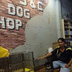 SC Dog Shop - Trại chó Alaska, Samoyed, Husky TPHCM