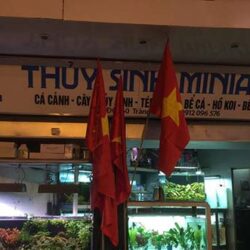 Thủy sinh MiniAqua - Chuyên bể cá cảnh đẹp giá rẻ