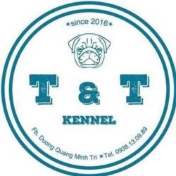 T&T Kennel - Trại chó Pug thuần chủng tại TP. HCM
