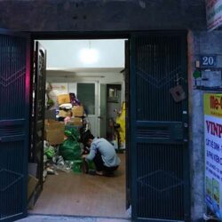 vinpet-shop-phu-kien-cho-meo-va-thu-cung-ha-noi