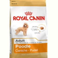 thuc-an-kho-cho-cho-Royal-Canin-Poodle-Adult