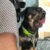 48930747_2407270029346209_7549848217630801920_n 48930747_2407270029346209_7549848217630801920_n