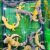BB Petshop - Mua bán bò sát và phụ kiện thú cưng BB Petshop - Mua bán bò sát và phụ kiện thú cưng