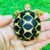 BB Petshop - Mua bán bò sát và phụ kiện thú cưng BB Petshop - Mua bán bò sát và phụ kiện thú cưng