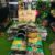 BB Petshop - Mua bán bò sát và phụ kiện thú cưng BB Petshop - Mua bán bò sát và phụ kiện thú cưng