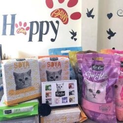 Happy Paws Pet Shop - Cửa hàng phụ kiện thú cưng đẹp giá rẻ