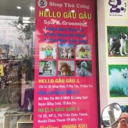 Hello Gâu Gâu - Bán chó mèo cảnh, phụ kiện đồ dùng thú cưng