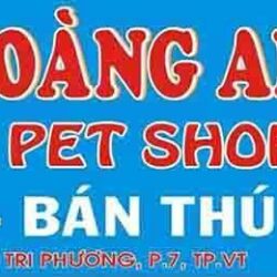 Hoàng Anh Dog’s Shop - Mua bán, phối giống chó mèo cảnh