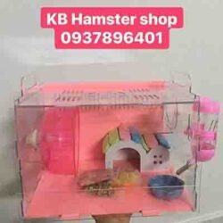 KB Pet Shop Vũng Tàu - Đồ dùng, phụ kiện cho chuột Hamster
