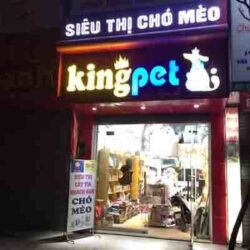 King Pet - Spa cắt tỉa lông và phụ kiện chó mèo cao cấp