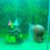Mua bán Cá La Hán rồng xanh, đen, king kamfa giá rẻ TP.HCM