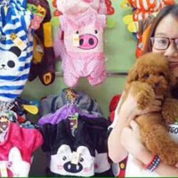 Pet Gold - Dịch vụ cắt tỉa lông, khách sạn chó mèo