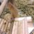 Pet shop Bình Dương - Vương Quốc Chuột Hamster giá rẻ Pet shop Bình Dương - Vương Quốc Chuột Hamster giá rẻ