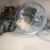 Pet shop Bình Dương - Vương Quốc Chuột Hamster giá rẻ Pet shop Bình Dương - Vương Quốc Chuột Hamster giá rẻ