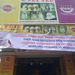 Pet Yêu - Bán thức ăn, đồ chơi, sữa tắm cho chó mèo