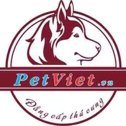 Petvietvn - Shop phụ kiện, dịch vụ chăm sóc thú cưng giá rẻ