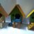 Petvn Shop Thủ Đức - Bán chuột Hamster và phụ kiện giá rẻ Petvn Shop Thủ Đức - Bán chuột Hamster và phụ kiện giá rẻ