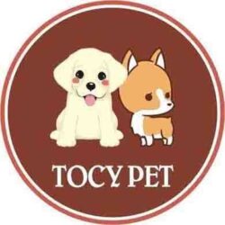 Tocy Pet Shop - Spa làm đẹp và phụ kiện chó mèo Bắc Ninh