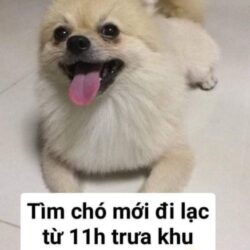 received_215296492749492