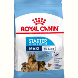 thuc-an-kho-cho-cho-Royal-Canin-Maxi-Starter-Mother-Babydog