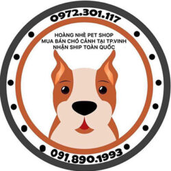 Hoàng Nhè PetShop - Mua bán chó mèo cảnh, phụ kiện thú cưng