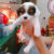 Hoàng Nhè PetShop - Mua bán chó mèo cảHoàng Nhè PetShop - Mua bán chó mèo cảnh, phụ kiện thú cưngnh, phụ kiện thú cưng Hoàng Nhè PetShop - Mua bán chó mèo cảHoàng Nhè PetShop - Mua bán chó mèo cảnh, phụ kiện thú cưngnh, phụ kiện thú cưng