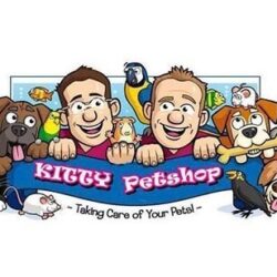 Kitty Pet Shop - Chuyên mua bán Chó, Hamster, Nhím kiểng