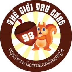 PetShop KXT - Chuyên sỉ lẻ Sóc, Thỏ, Chim, Vẹt cảnh TP.HCM