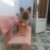received_363093877870587 received_363093877870587