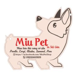 Miu Pet Shop - Chuyên bán giống chó Alaska, Husky, Samoyed