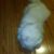 received_305152983746284