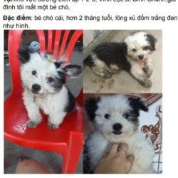 FB_IMG_1558028307652
