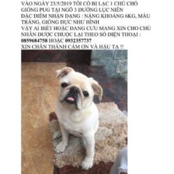 FB_IMG_1558784035198