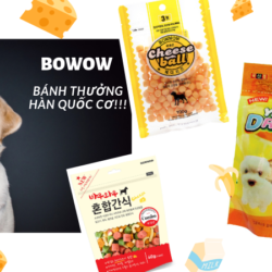 BOWOW