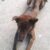 received_682762385532595 received_682762385532595