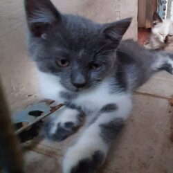 0a7fe6a863d3848dddc2