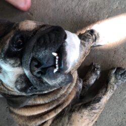 EB078011-CA05-49D8-8363-FEB499775BDC