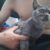 received_2465107853722172 received_2465107853722172