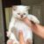 cb69e9f029bdcfe396ac cb69e9f029bdcfe396ac