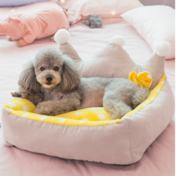 _____BEILYSTORE-Phụ kiện thú cưng____ 🏡 Đ/C:95 Quang Trung,Hà Đông
