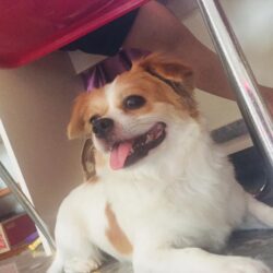 mia
