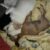 pxanhanh__BbPZkWXBuU7zcRRkDVCJbt8UCTSXwL9WqAkZxI0_2 pxanhanh__BbPZkWXBuU7zcRRkDVCJbt8UCTSXwL9WqAkZxI0_2