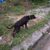 received_276703043495762 received_276703043495762