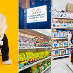 Pet Shop Danang (1)