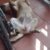 received_251382762658527